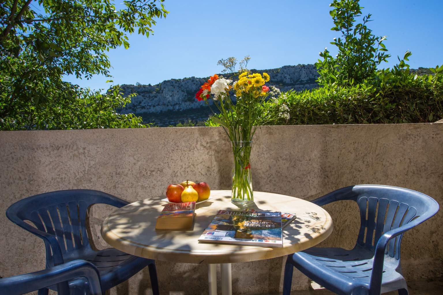 Bouquet de fleurs sur balcon L’Auberge des Gorges à Saint-Martin-d’Ardèche